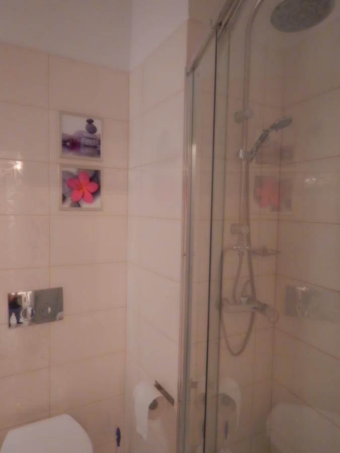 Central Warsaw Apartment Kültér fotó